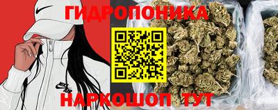 МДПВ Рыбинск