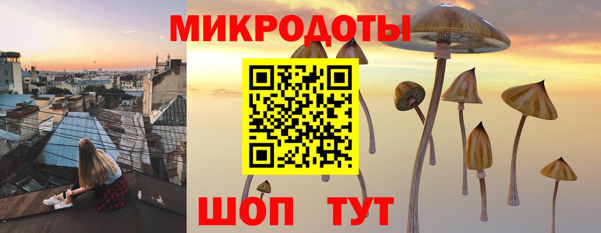 Псилоцибиновые грибы мицелий Сарапул